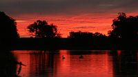 Cooper Sunset